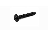 Rvs flensschroeven iso 7380-2 m6x45 torx (240000x)