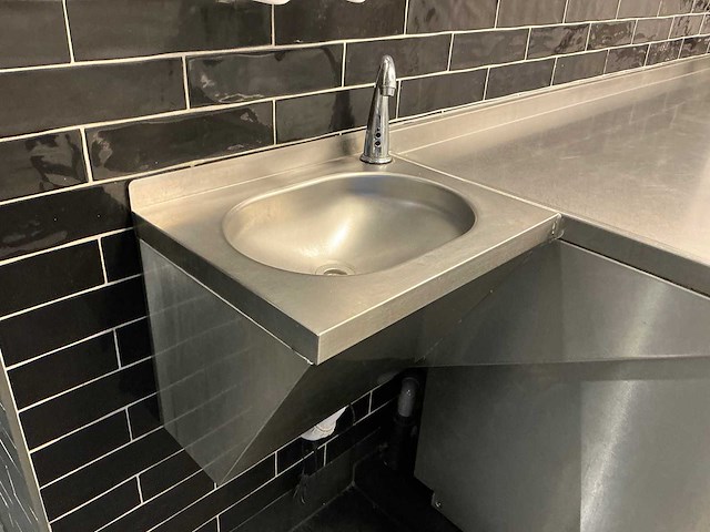 Rvs handsfree spoelbak - afbeelding 1 van  1