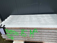 Sab-profiel - w95.1100 - wand sandwichpanelen (7x) 12,72 m² - afbeelding 10 van  10