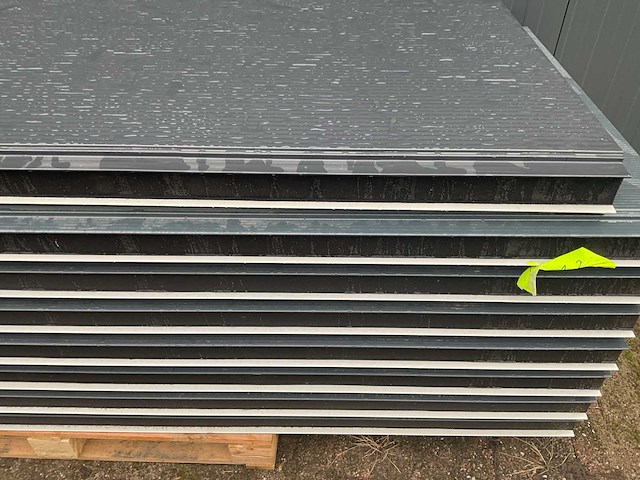Sab-profiel - wb60.1000 - wand sandwichpanelen (8x) 19,85 m² - afbeelding 2 van  12