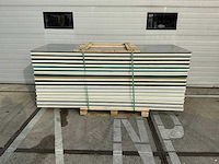 Sabprofiel - w 60/1000 - sandwichpanelen 16x) 40 m2 - afbeelding 2 van  5