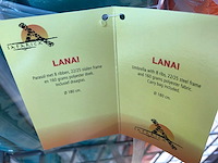 Safarica partij diverse strandparasols - afbeelding 3 van  3