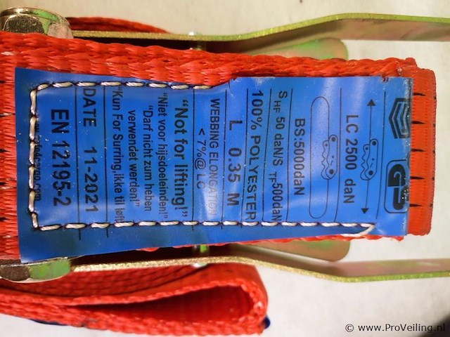 Safe4cargo spanband met ratel - 2 stuks - afbeelding 8 van  8