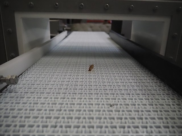 Safeline / mettler toledo - afbeelding 12 van  15