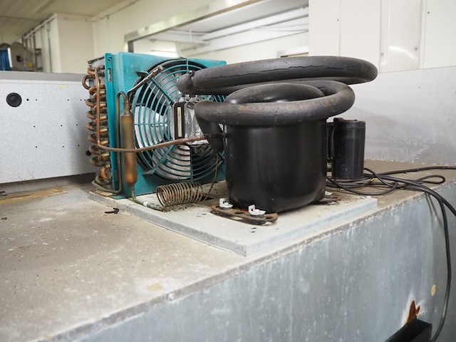 Sagi - afbeelding 2 van  10