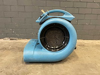 Saharafan - afbeelding 3 van  6