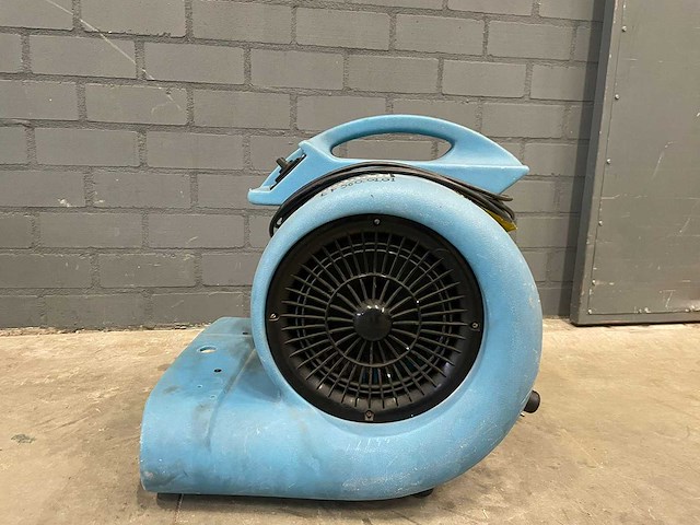 Saharafan - afbeelding 1 van  6