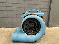 Saharafan - afbeelding 1 van  6