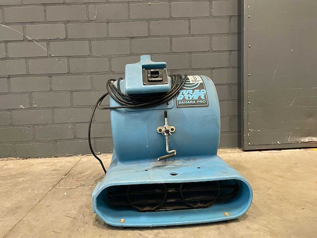 Saharafan - afbeelding 3 van  6