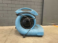 Saharafan - afbeelding 4 van  6