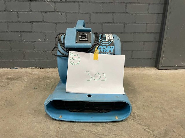 Saharafan - afbeelding 6 van  6