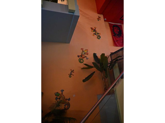 Salamander / gekko wanddecoratie - afbeelding 2 van  6