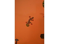 Salamander / gekko wanddecoratie - afbeelding 3 van  6