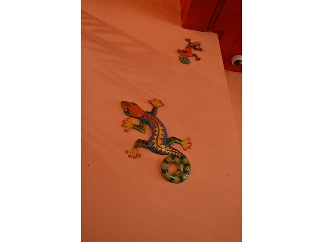 Salamander / gekko wanddecoratie - afbeelding 5 van  6