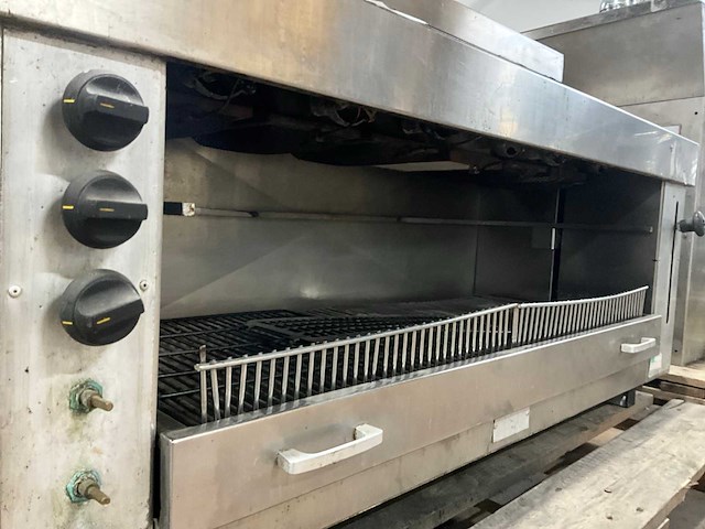 Salamander - afbeelding 4 van  6