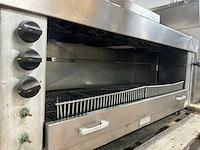 Salamander - afbeelding 4 van  6