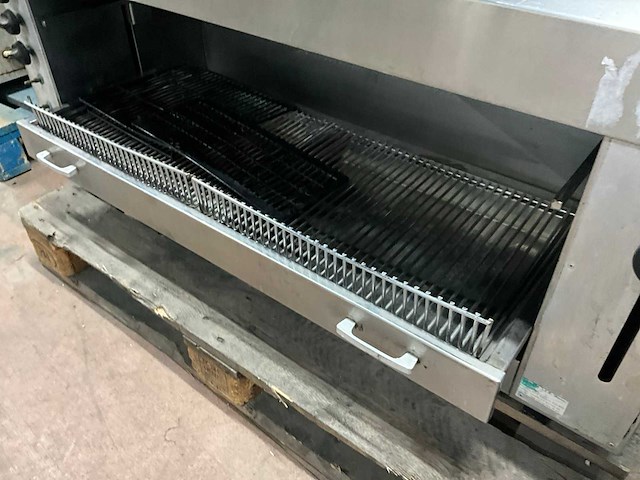 Salamander - afbeelding 5 van  6