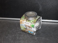 Sallade potjes glas 12 stuks in kr15 - afbeelding 3 van  3