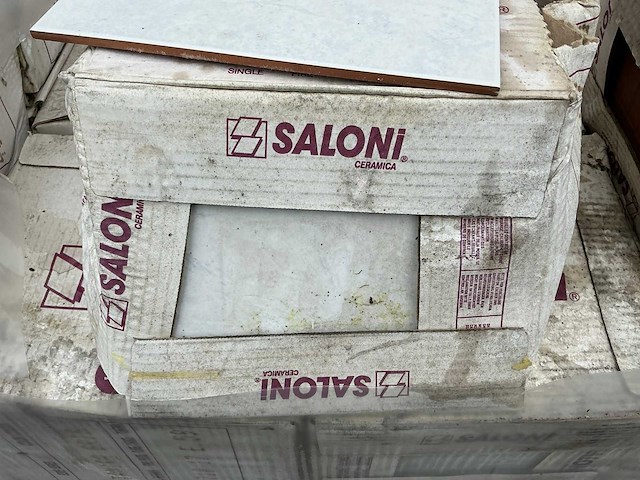 Saloni - castelon - 20x25 cm - 45 m2 - partij wandtegel - afbeelding 3 van  3