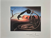 Salvador dali - afbeelding 1 van  5