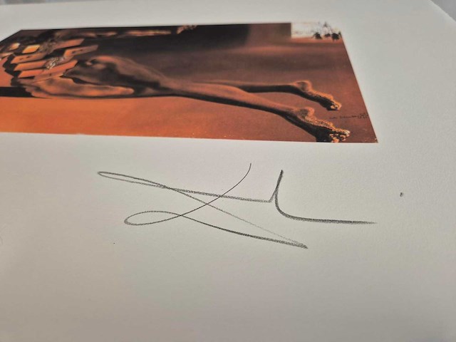 Salvador dali - afbeelding 3 van  5