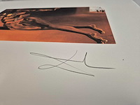 Salvador dali - afbeelding 3 van  5