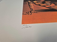 Salvador dali - afbeelding 4 van  5