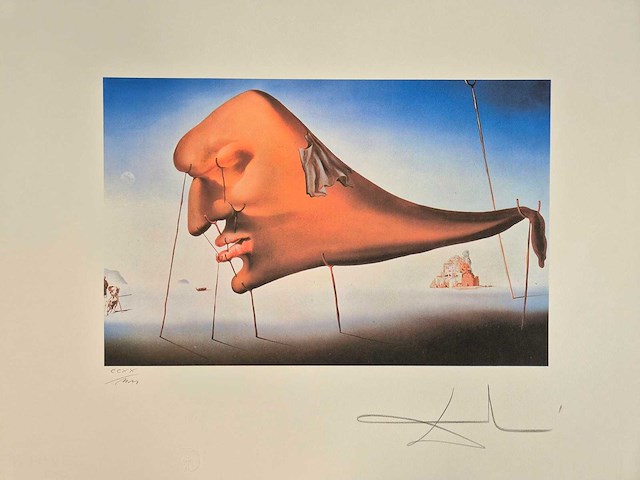 Salvador dali - afbeelding 1 van  5