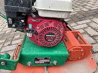 Samac - 2019 - t19-b - trilplaten - afbeelding 3 van  4