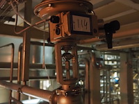 Samson - afbeelding 1 van  3