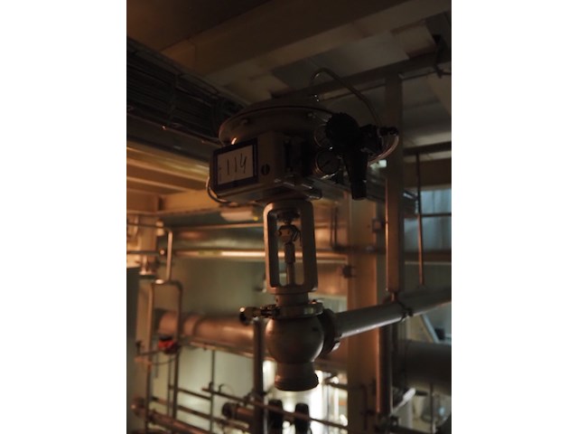 Samson - afbeelding 2 van  3