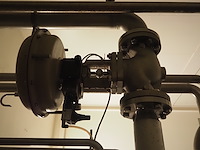 Samson - afbeelding 3 van  4