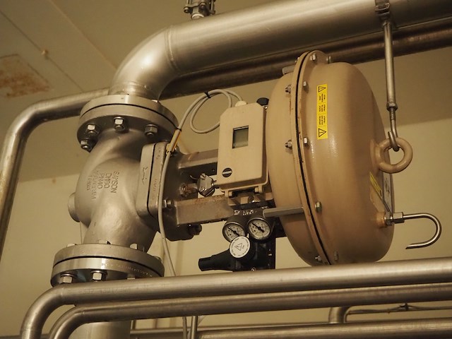 Samson - afbeelding 4 van  4