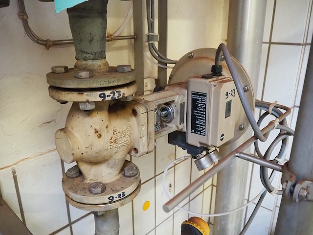 Samson - afbeelding 8 van  11