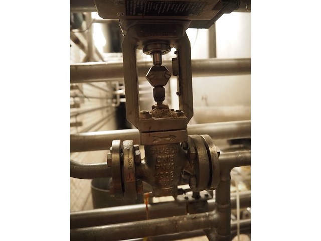 Samson - afbeelding 4 van  5