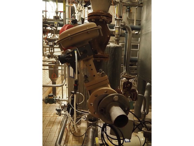 Samson - afbeelding 3 van  6