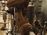 Samson - afbeelding 3 van  6