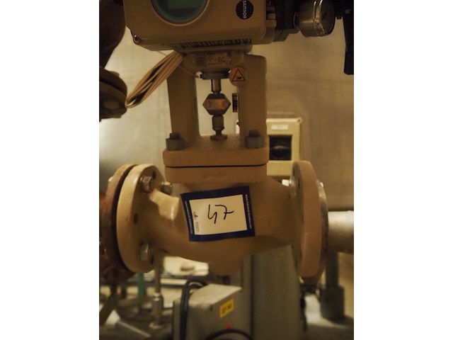 Samson - afbeelding 5 van  6