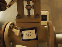 Samson - afbeelding 5 van  6