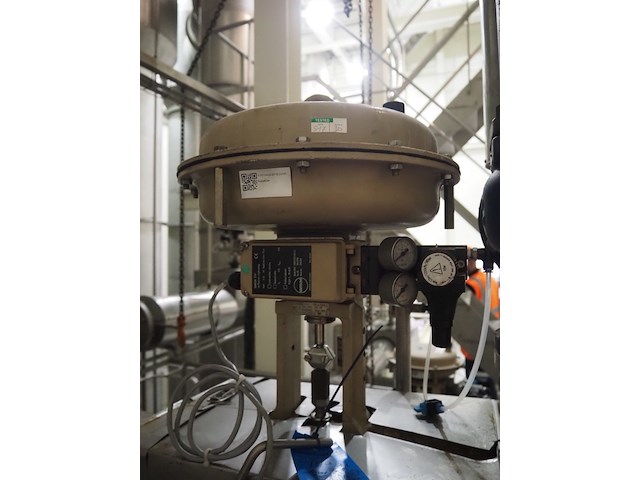 Samson - afbeelding 5 van  7