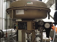 Samson - afbeelding 5 van  7