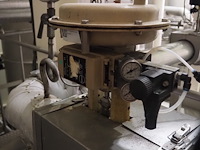 Samson - afbeelding 4 van  6