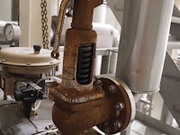 Samson - afbeelding 6 van  6