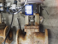 Samson - afbeelding 6 van  10