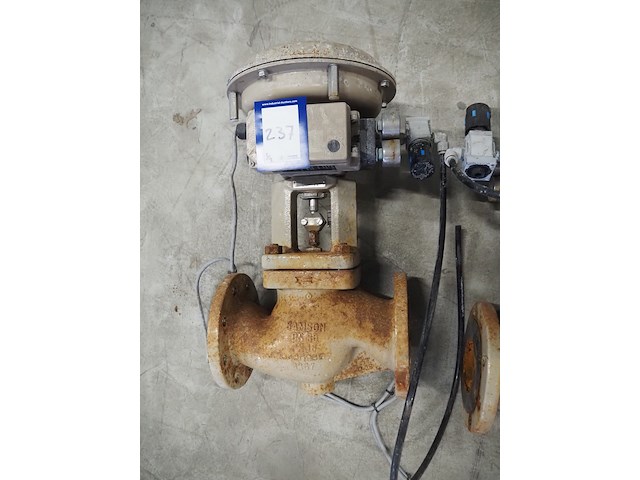 Samson - afbeelding 7 van  10