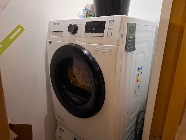 Samsung - dv80ta220ae - wasdroger - afbeelding 1 van  3