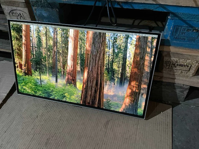 Samsung odyssey oled g81sf monitor - afbeelding 1 van  6