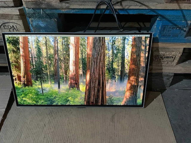 Samsung odyssey oled g81sf monitor - afbeelding 2 van  6