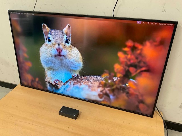 Samsung (qb49r) 49”, 3840x2160 (uhd) ips monitor - afbeelding 3 van  7