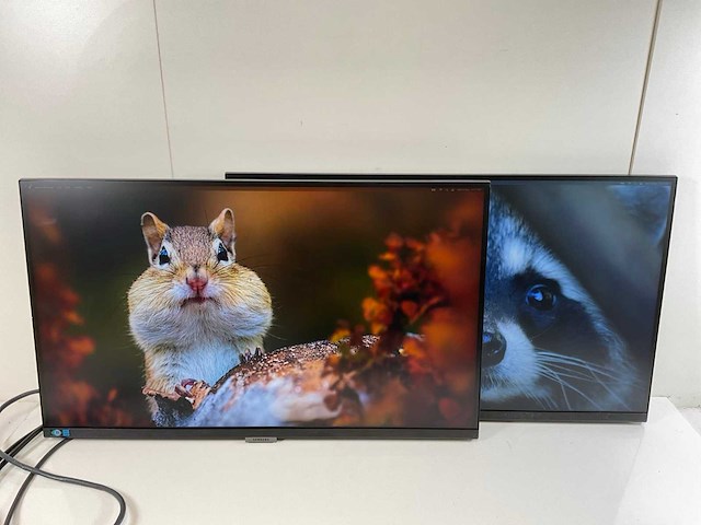 Samsung (s27a600uuu) 27”, 2560x1440 (qhd) ips monitors (2x) - afbeelding 1 van  13